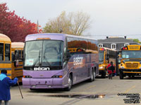 Bgin 506