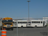 Orléans Mobilité 10 and 20 - 2004 International 3800 Blue Bird