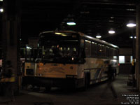 Gray Line 1031 (1998 MCI 102DL3)
