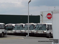 Limocar 666, 602, 601 and 600 - CITVR