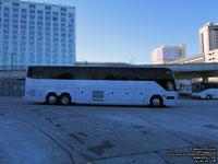 Angel Tours and Entertainement XOXO