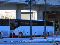 Camila Tours and Travel 333