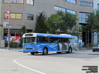 Tours du Vieux-Québec 40 - 2008 Blue Bird TC3000