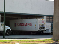 Yang Ming Line - YMLU ??????