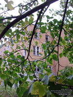 Maison Notre-Dame de la Chesnaie