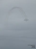 Snowbirds