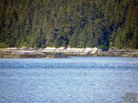 approach