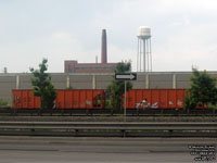 Rick Franklin Corporation - RFRX 3004 and RFRX 3003
