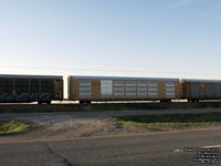 TTX Company / Canadian National bilevel autorack - TTGX ??????