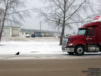 crow vs prostar