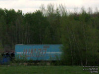 Jumbo Motor Express